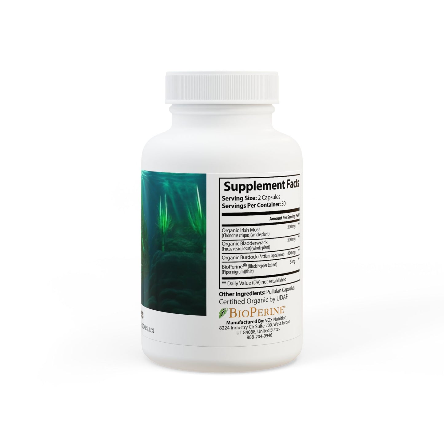 POTENTS' Sea Moss Supplement (60 Capsules)