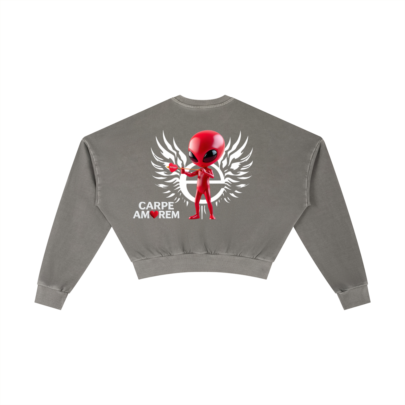 Vintage Washed Cropped Sweatshirt