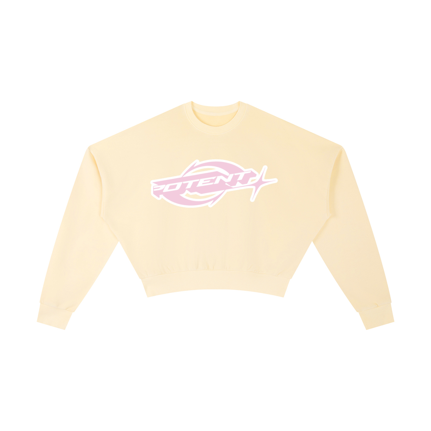 Vintage Washed Cropped Sweatshirt