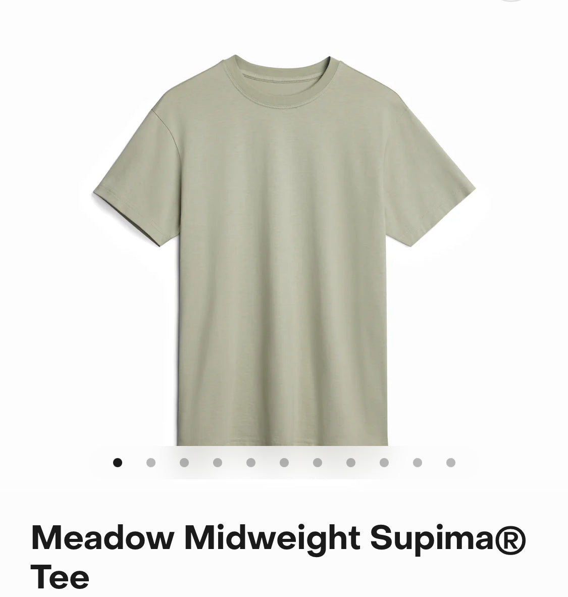 POTENT PLAYBOOK DELUXE