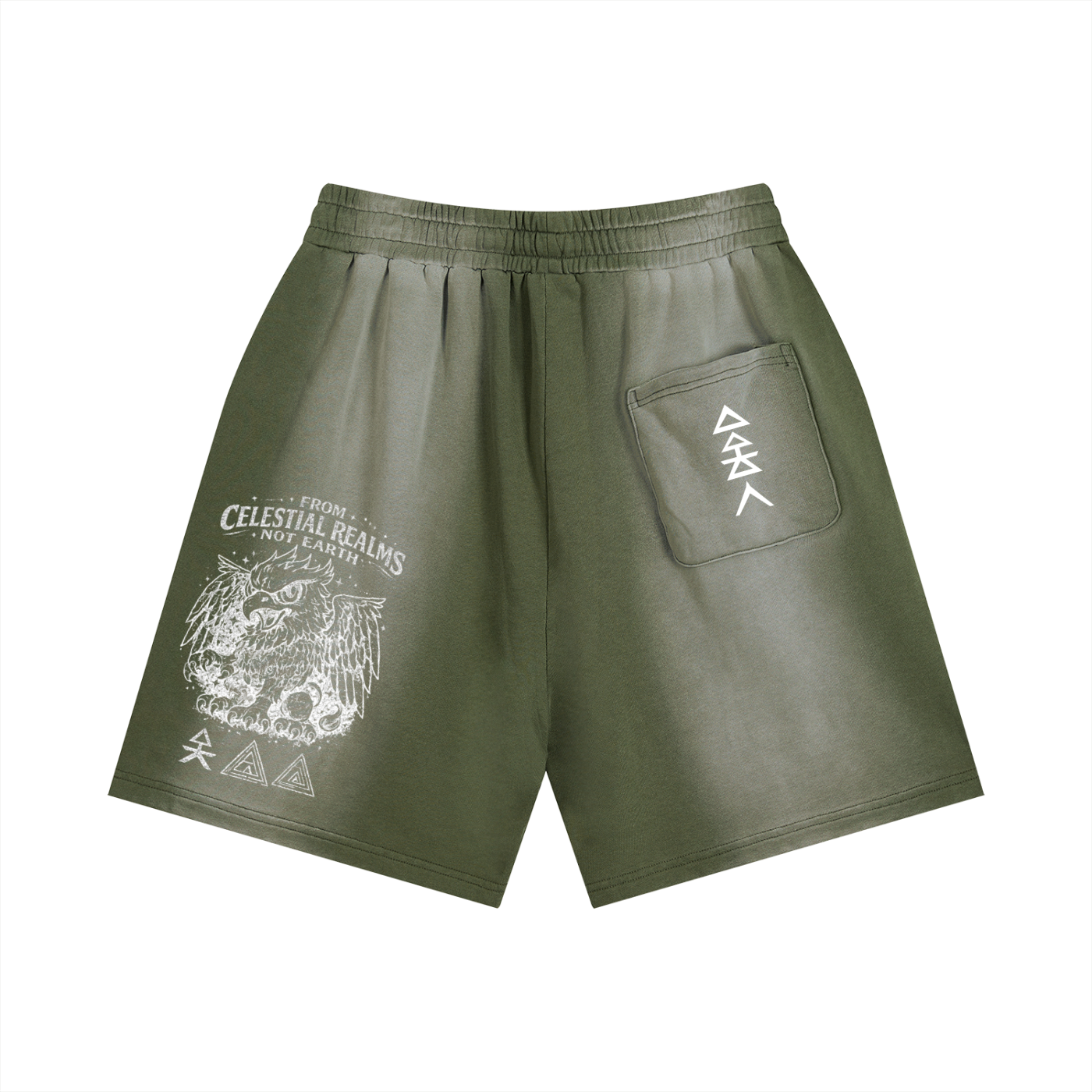 Sun Fade Distressed Shorts