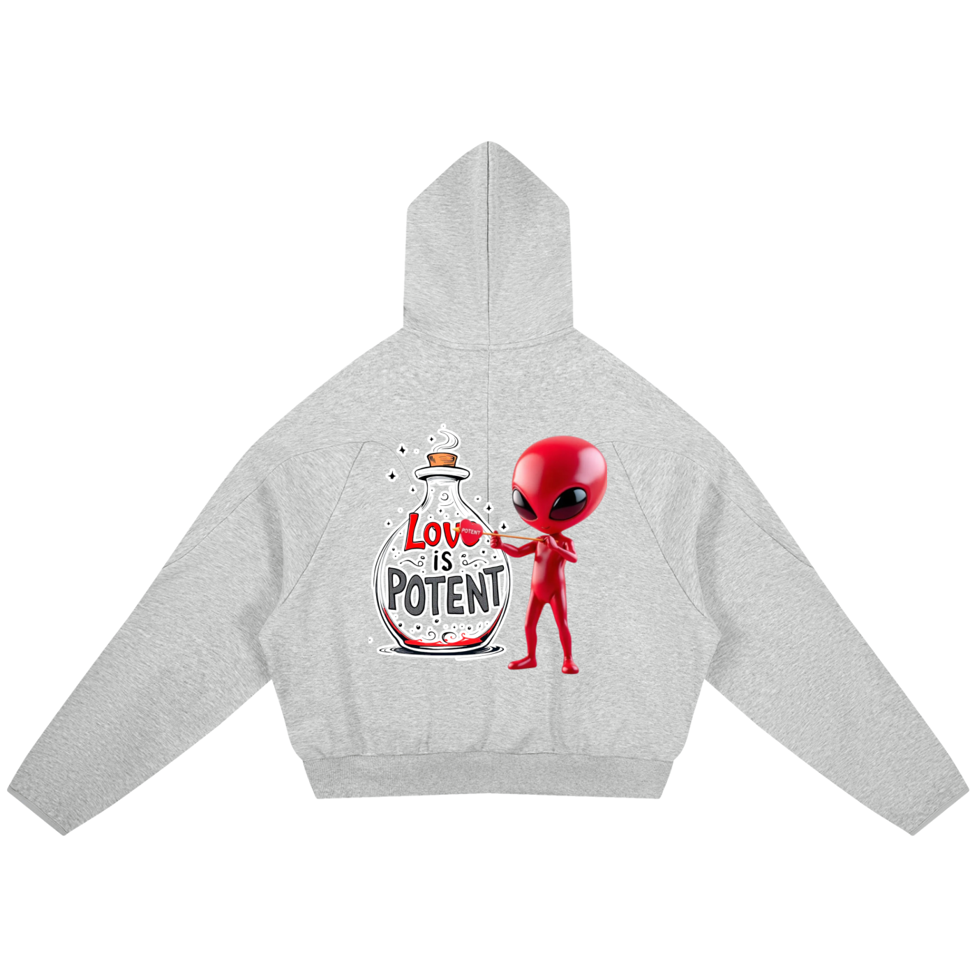 Curved Panel Raglan Hoodie