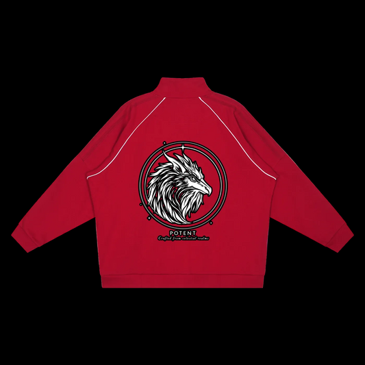 Reflection Striped Raglan Sleeve  Jacket