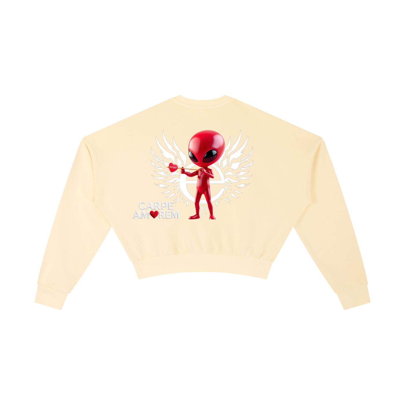 Vintage Washed Cropped Sweatshirt