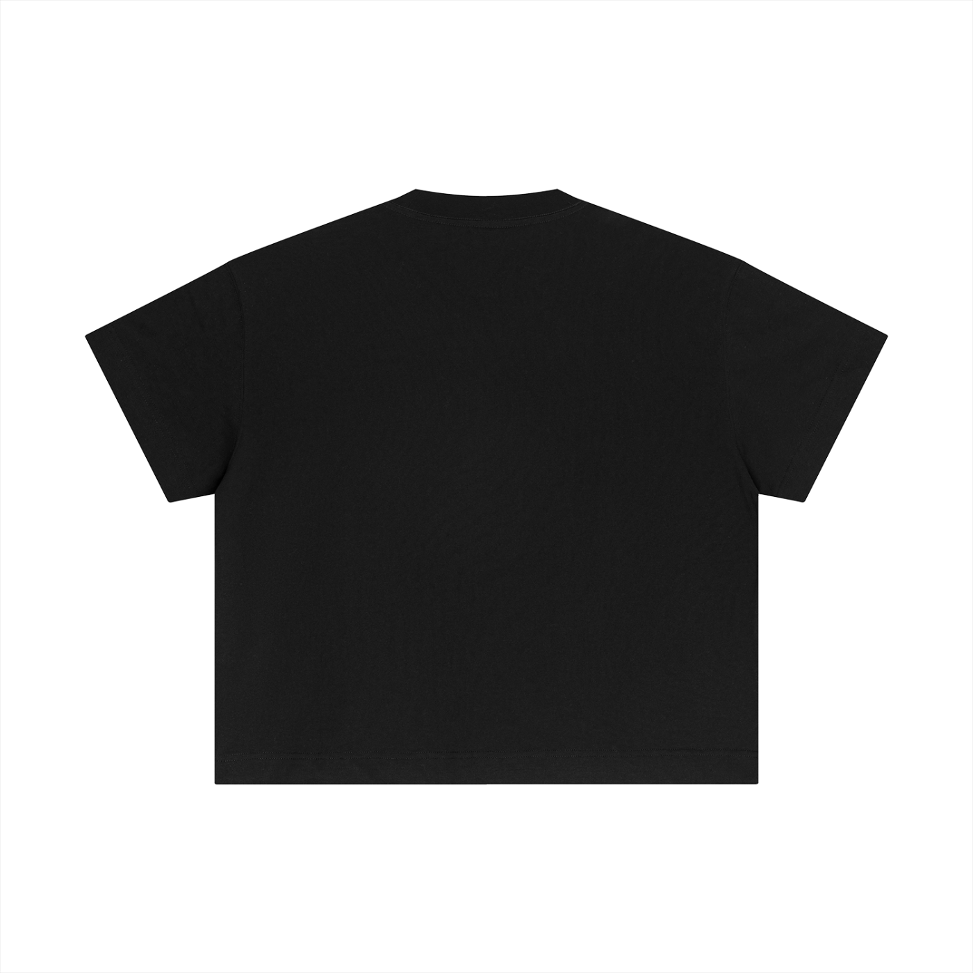 SS 72 ARTIFACT 13/72