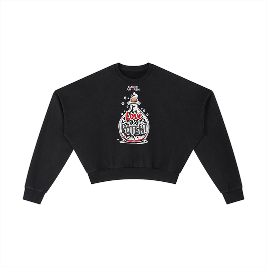 Vintage Washed Cropped Sweatshirt