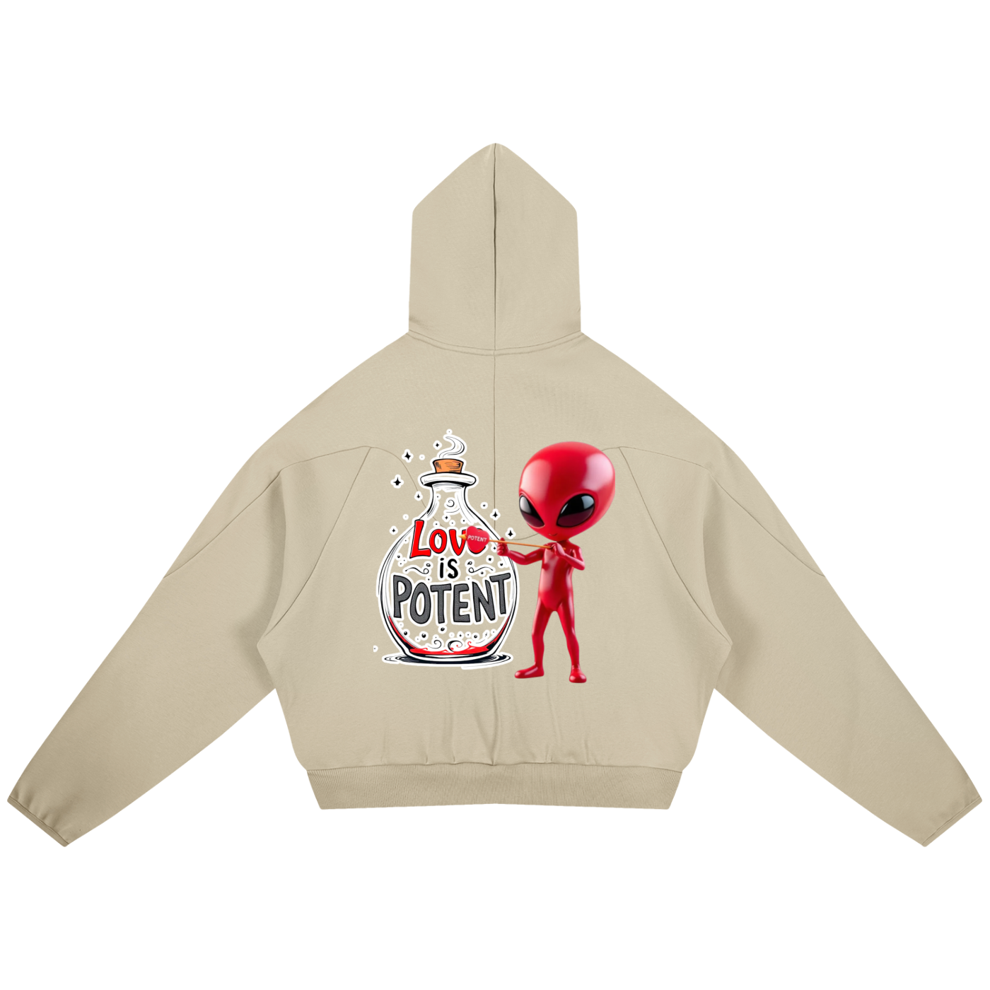 Curved Panel Raglan Hoodie