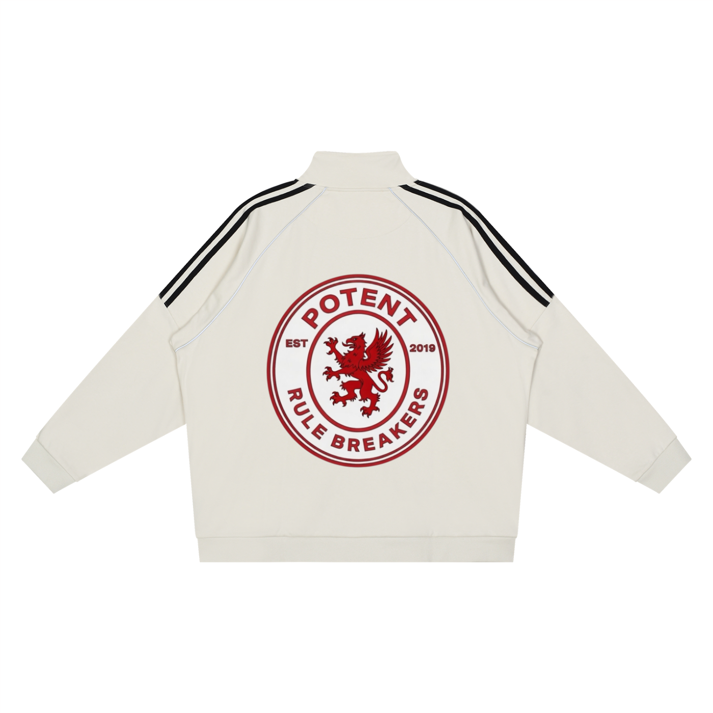 Reflection Striped Raglan Sleeve  Jacket