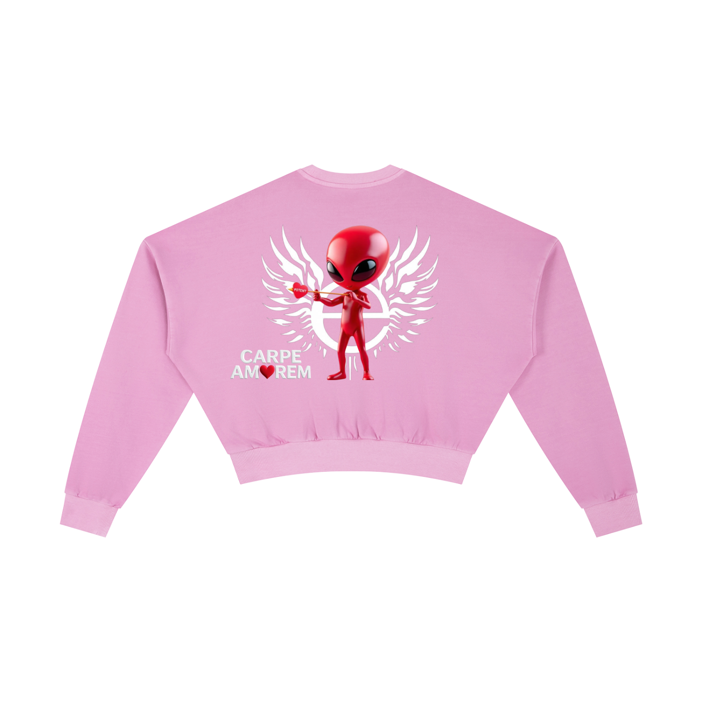 Vintage Washed Cropped Sweatshirt