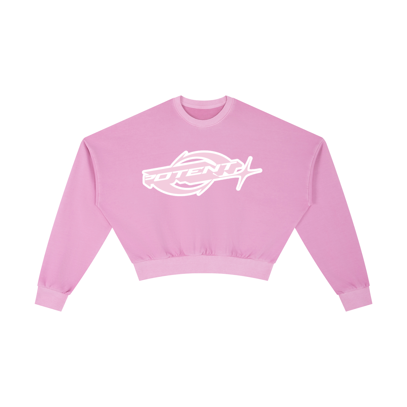 Vintage Washed Cropped Sweatshirt