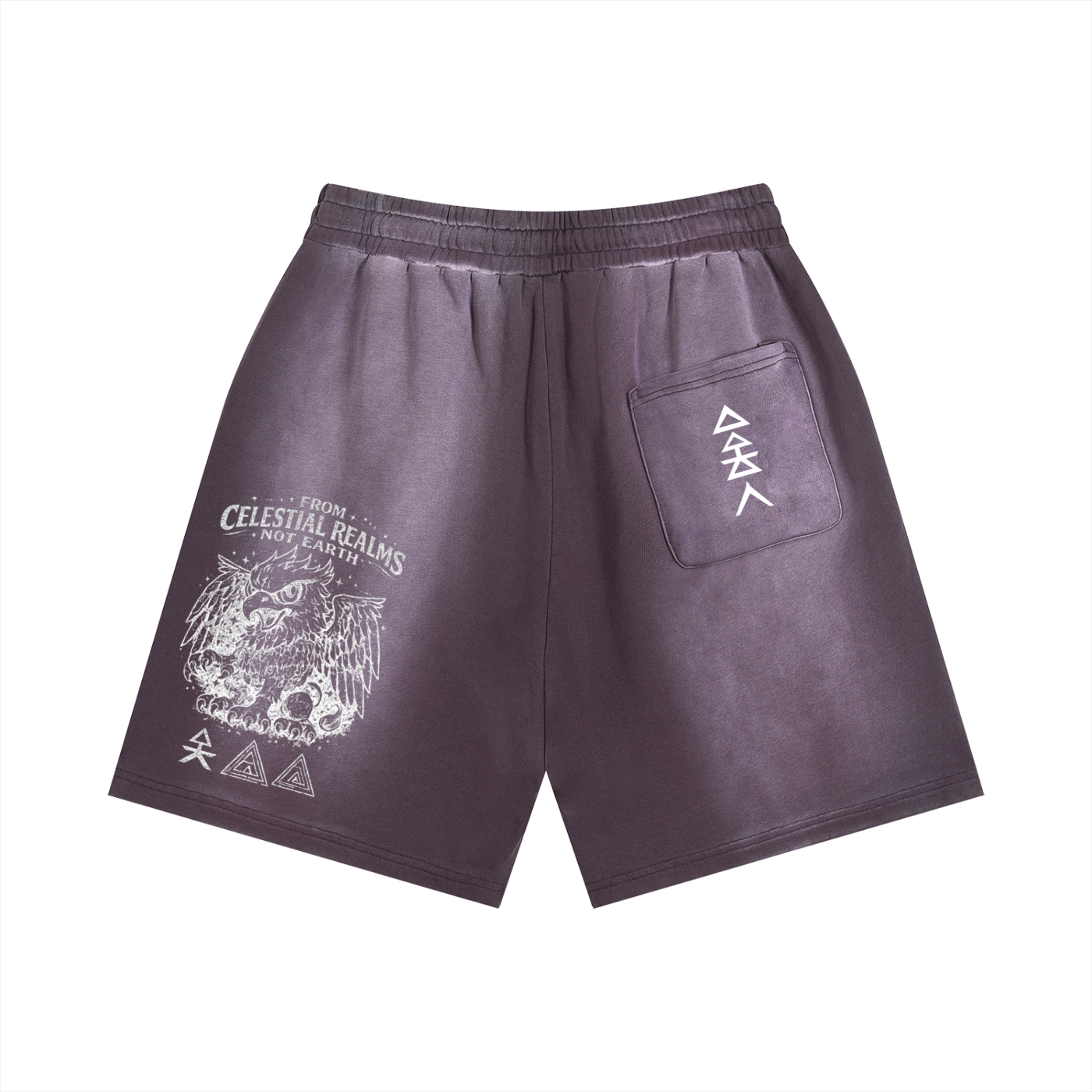 Sun Fade Distressed Shorts