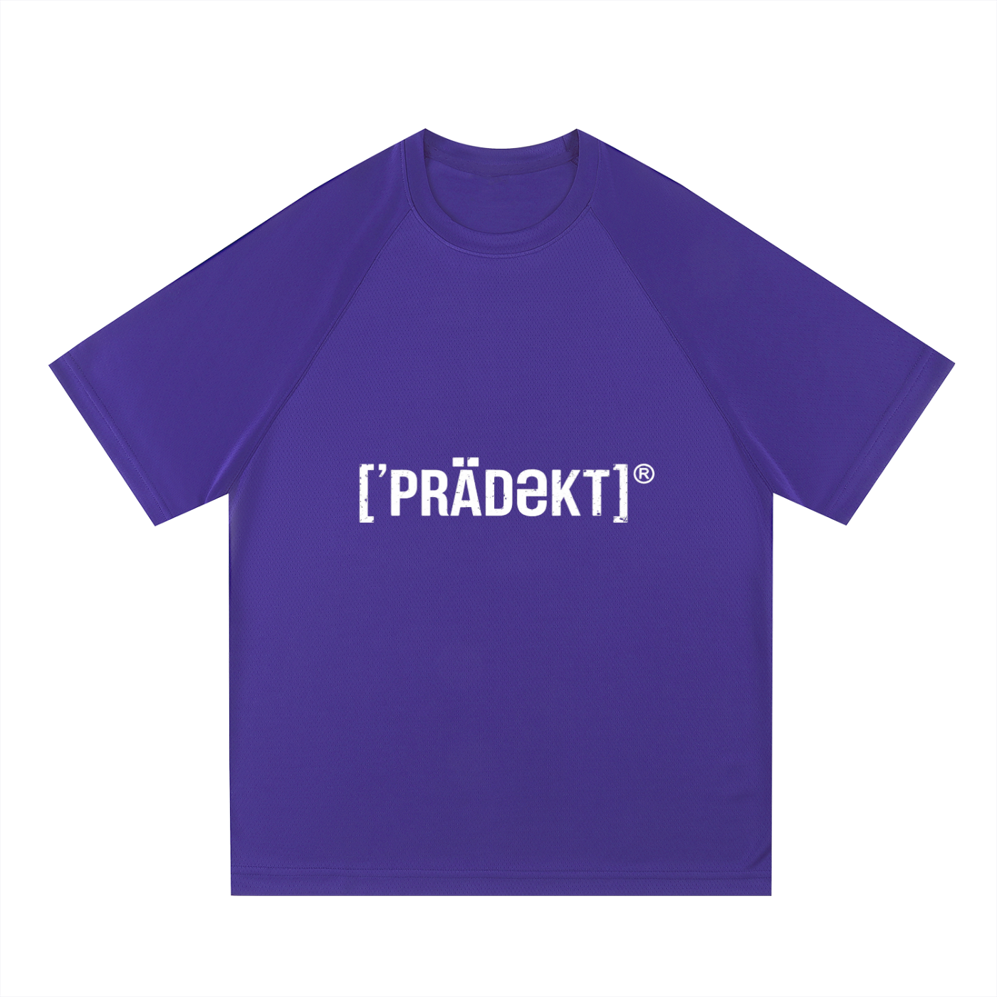 Raglan Sleeve Mesh T-Shirt